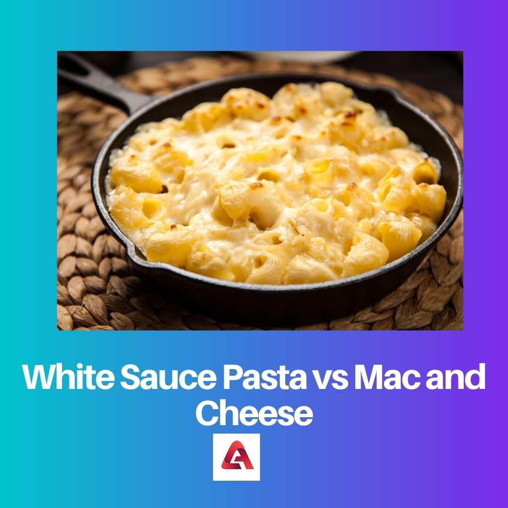 Valkokastike Pasta vs Mac ja juusto