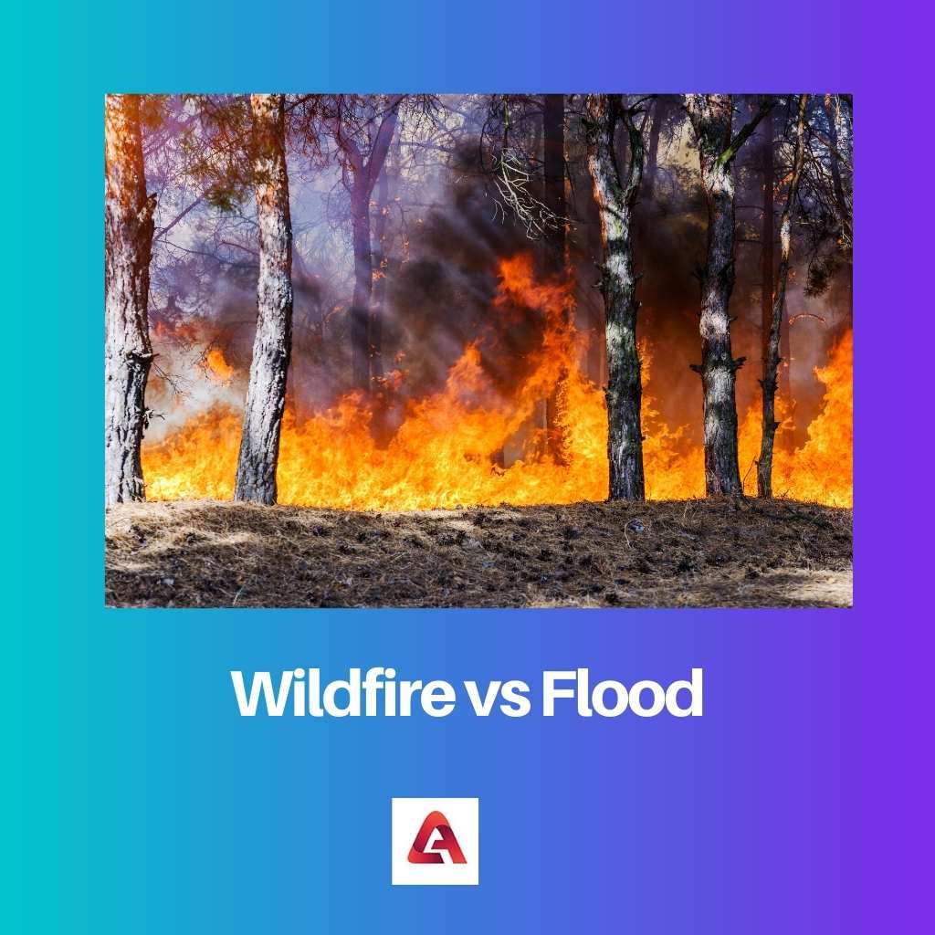 Incendio forestal vs Inundación
