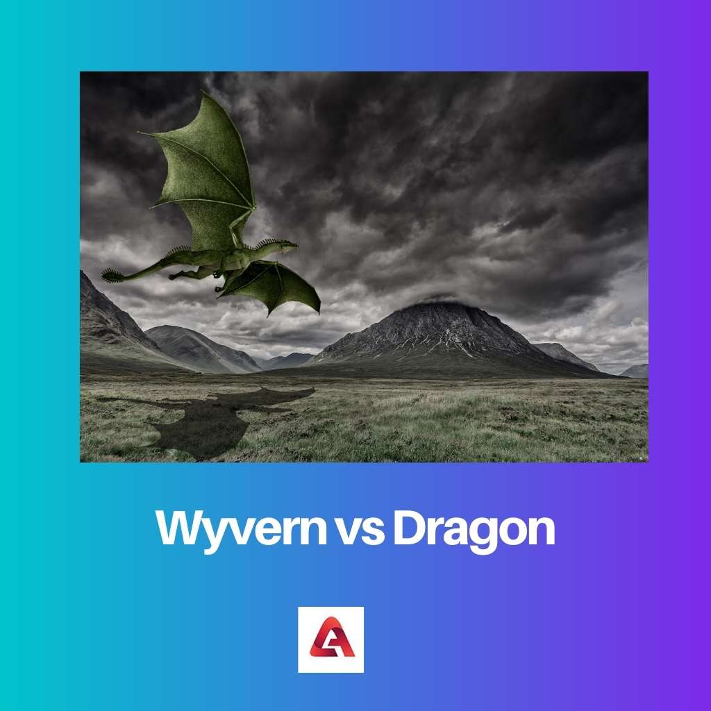 Wyvern contre Dragon