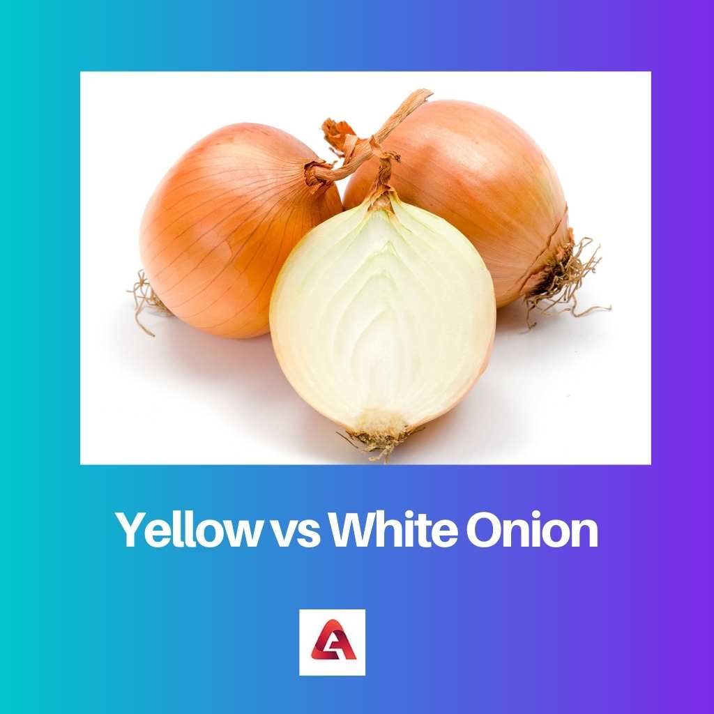 หัวหอมสีเหลืองกับสีขาว