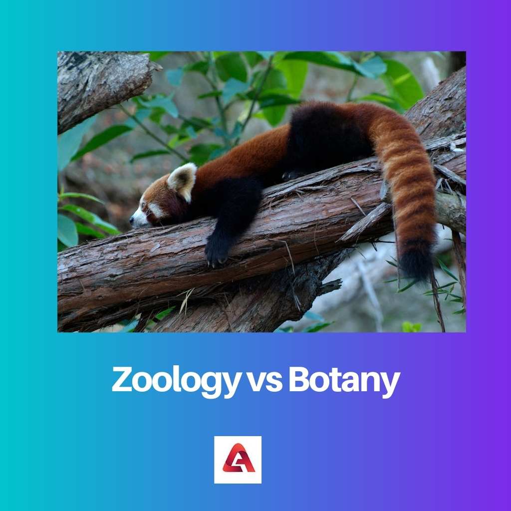 Zooloģija pret botāniku