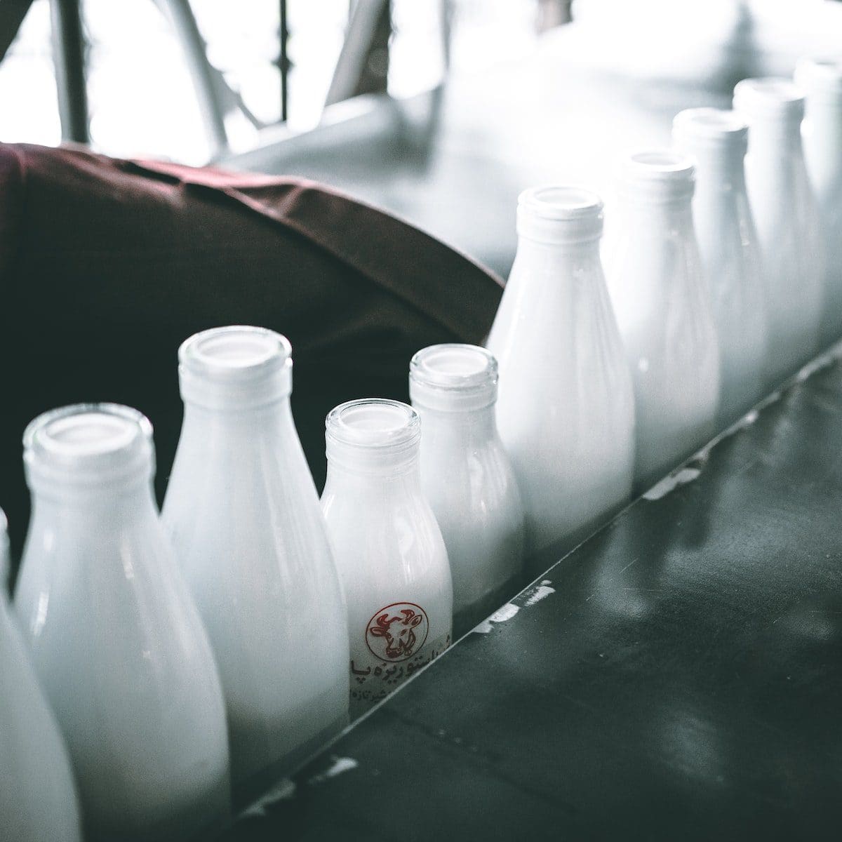 Pasteurisierte Milch