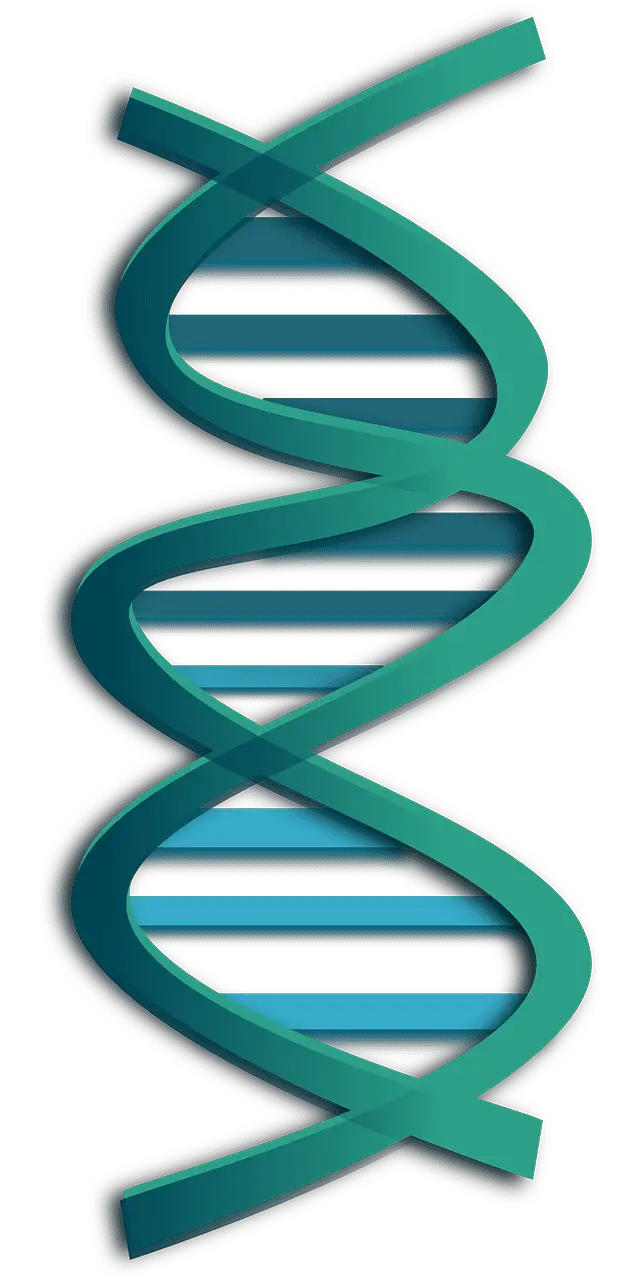 геном