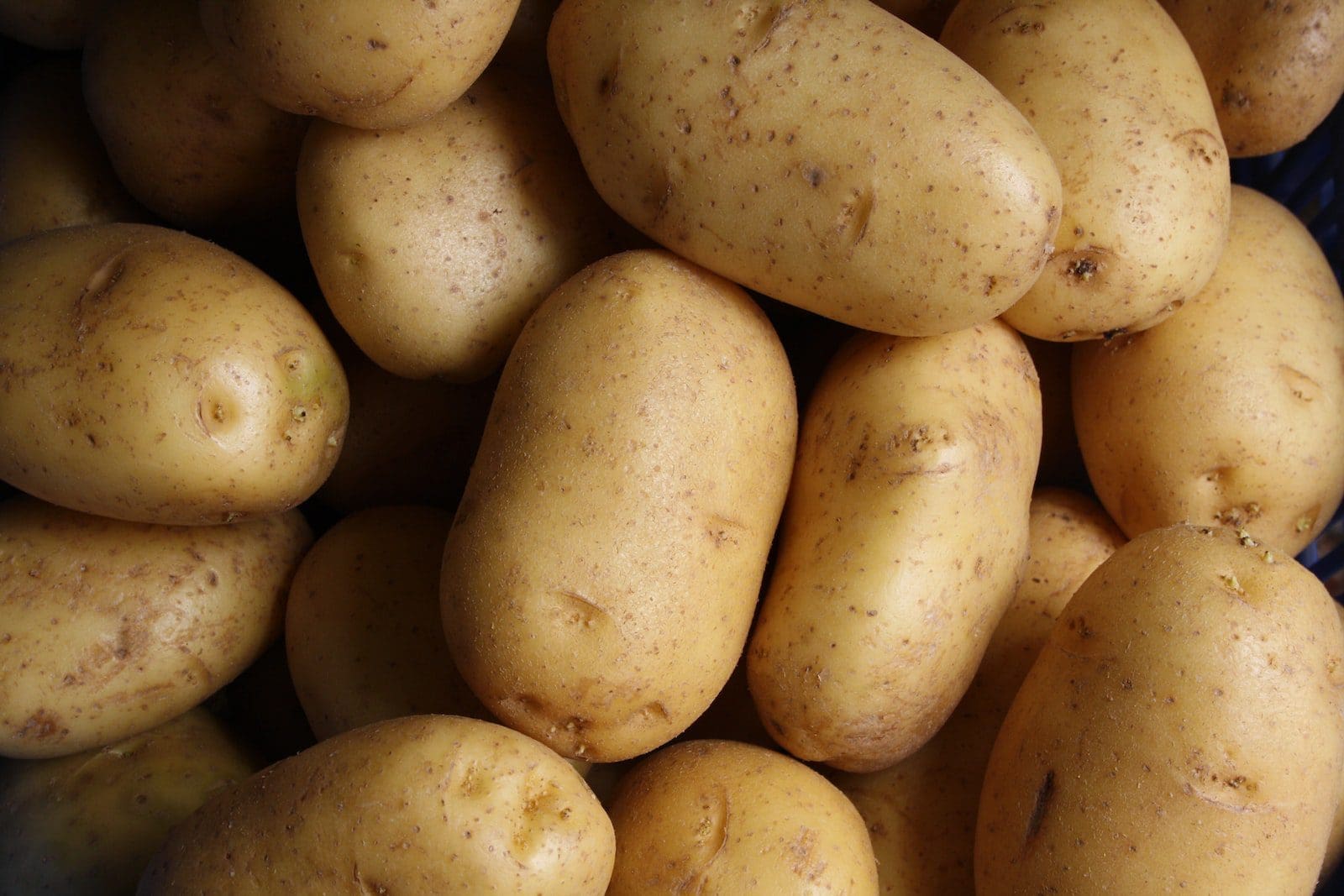 batatas idaho