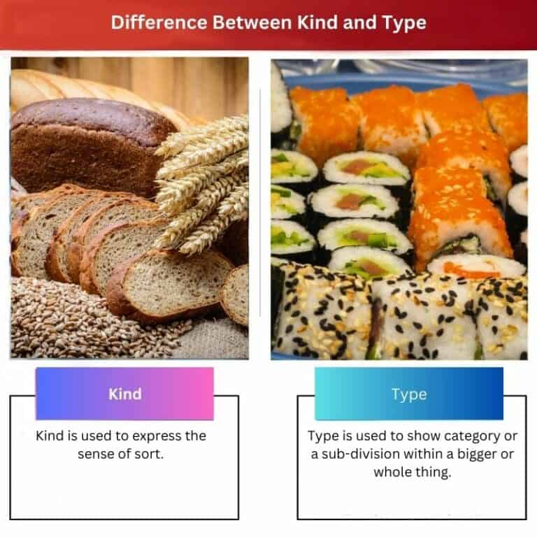 kind-vs-type-difference-and-comparison