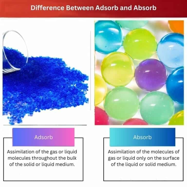 Adsorb vs Absorb Difference and Comparison