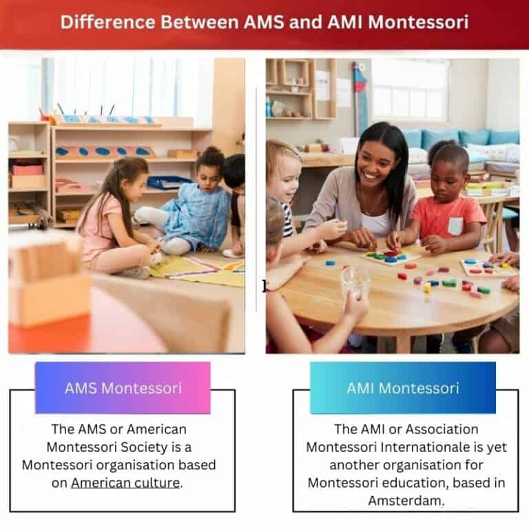 AMS vs AMI Montessori Difference and Comparison