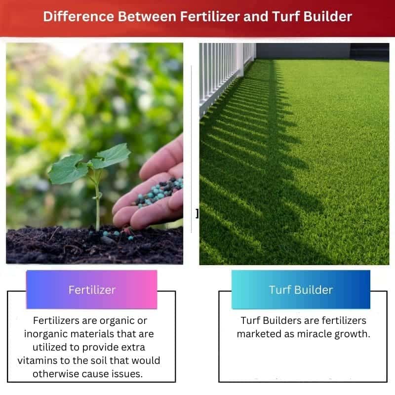 Difference Between X and Y 2023 05 30T144315.438