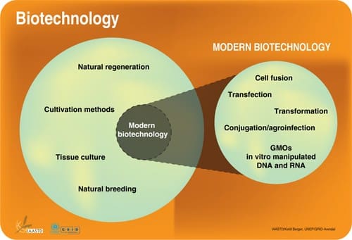 modern biotechnology