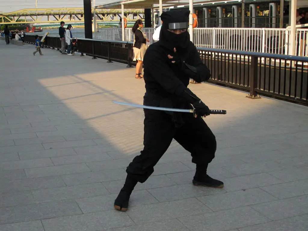 ninja japon