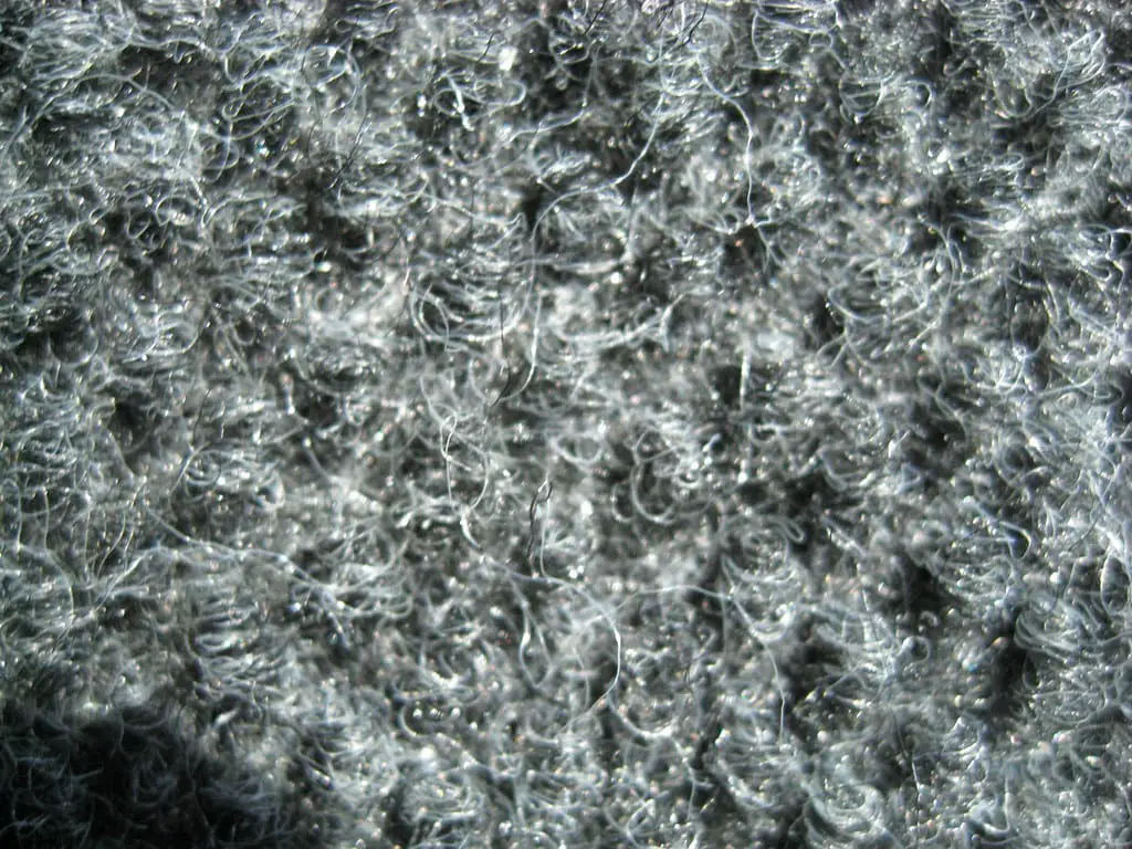 polyester carpet