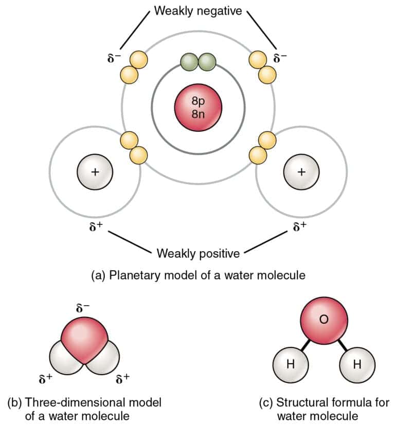 Ionic Covalent Vs Metallic Bonds Difference And Comparison 