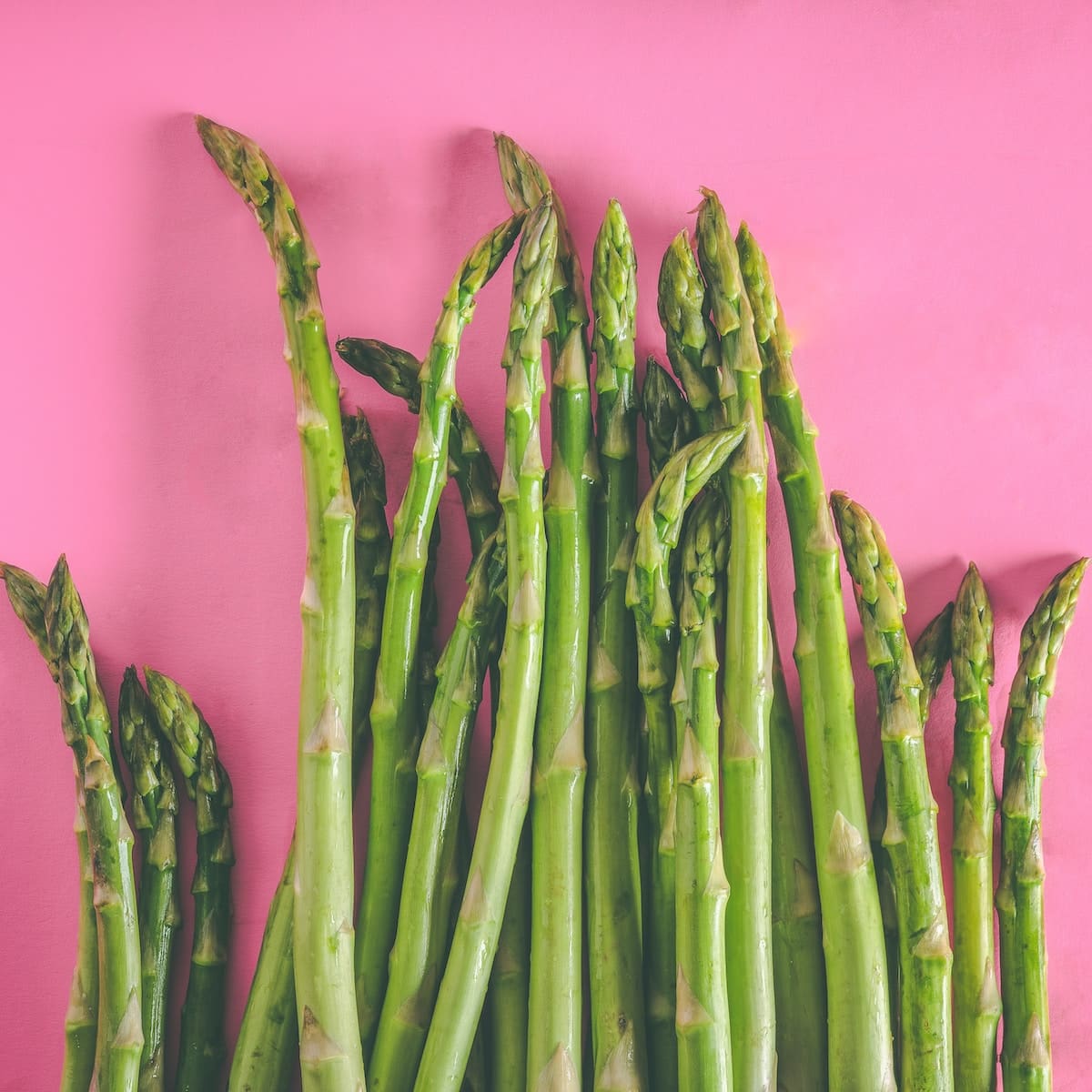 asparagus hijau