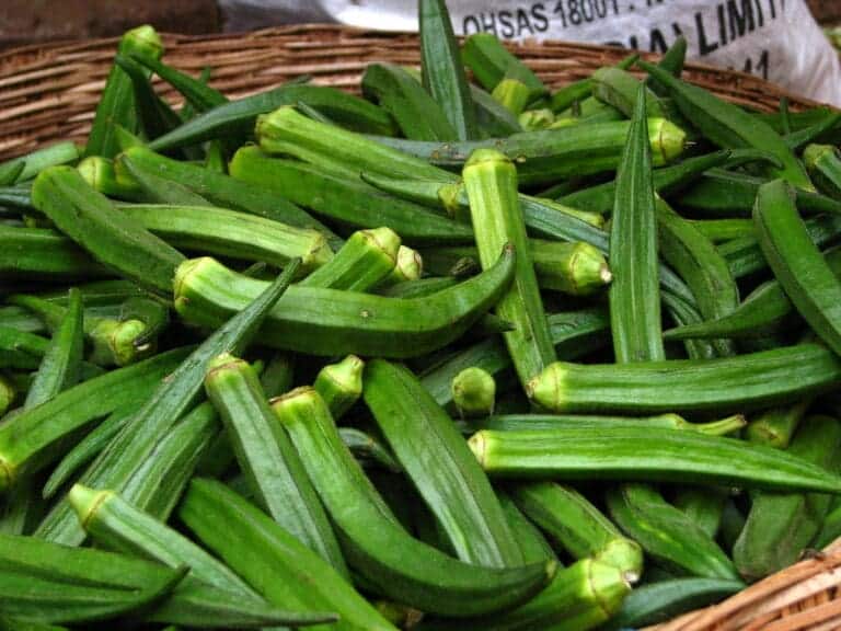 Okra vs Lady Finger Difference and Comparison