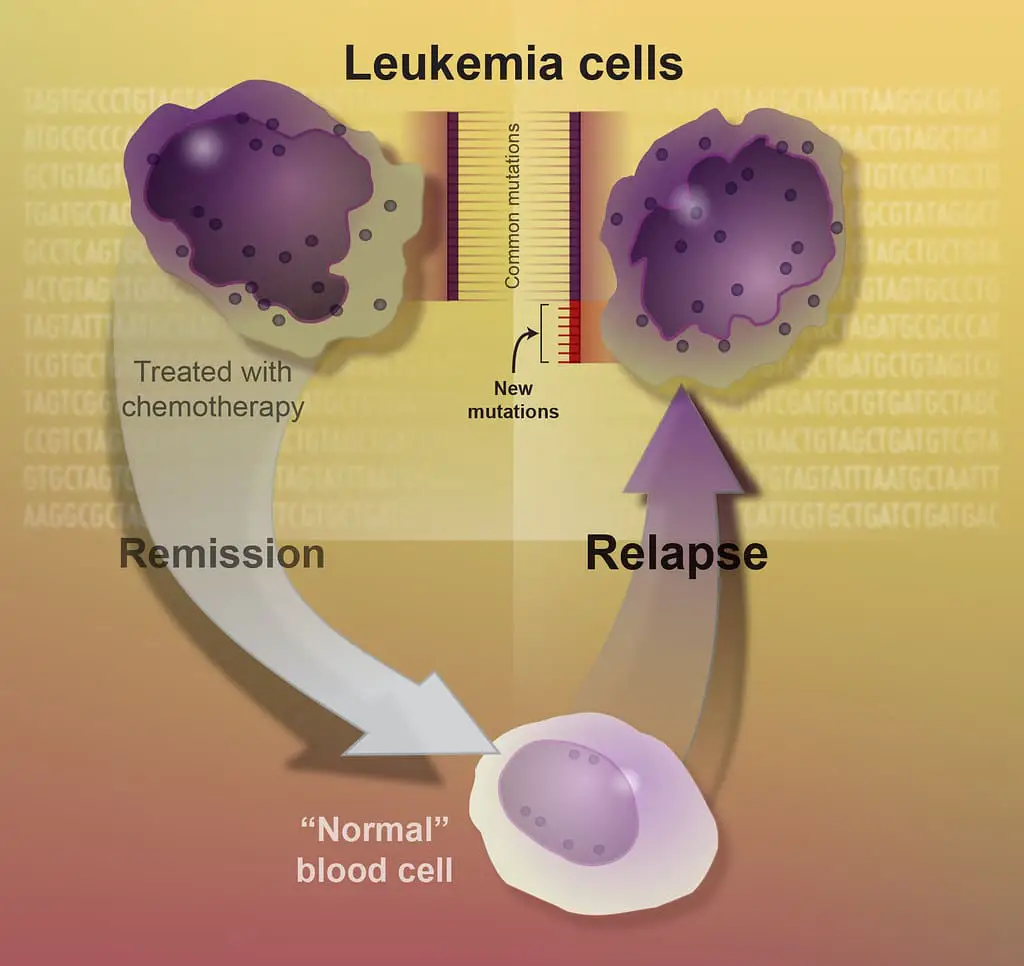 leukemie