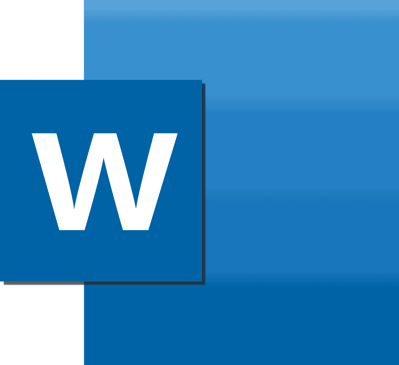 microsoft Word