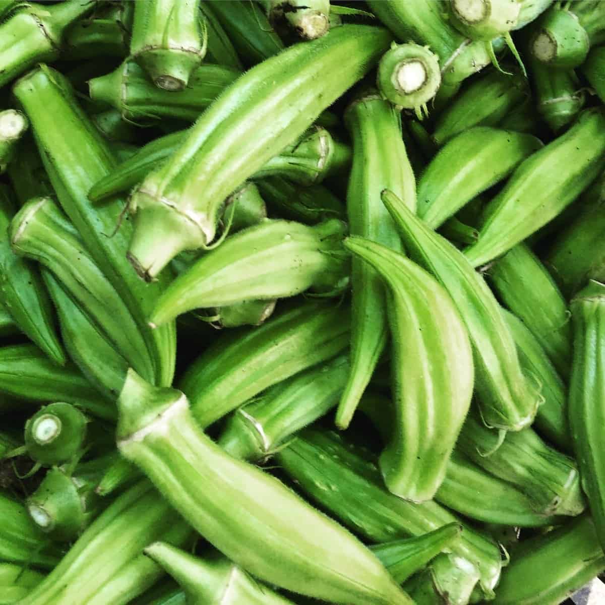 Okra vs Lady Finger: Difference and Comparison