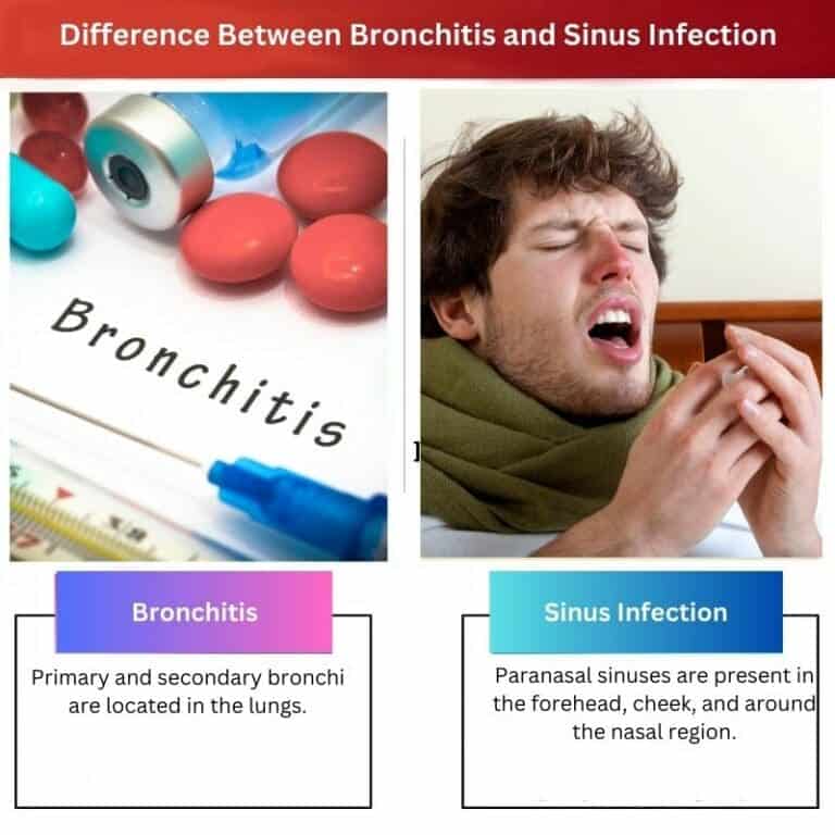 bronchitis-vs-sinus-infection-difference-and-comparison