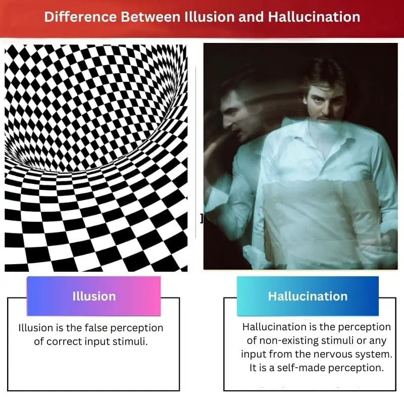Différence entre illusion et hallucination