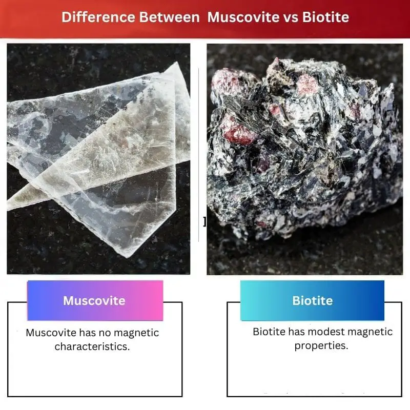 Forskellen mellem Muscovite og Biotite