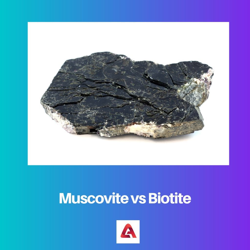 Muscovite vs Biotite