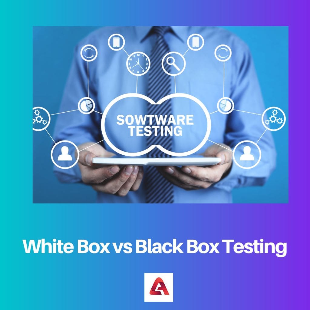 White Box vs Black Box Testing