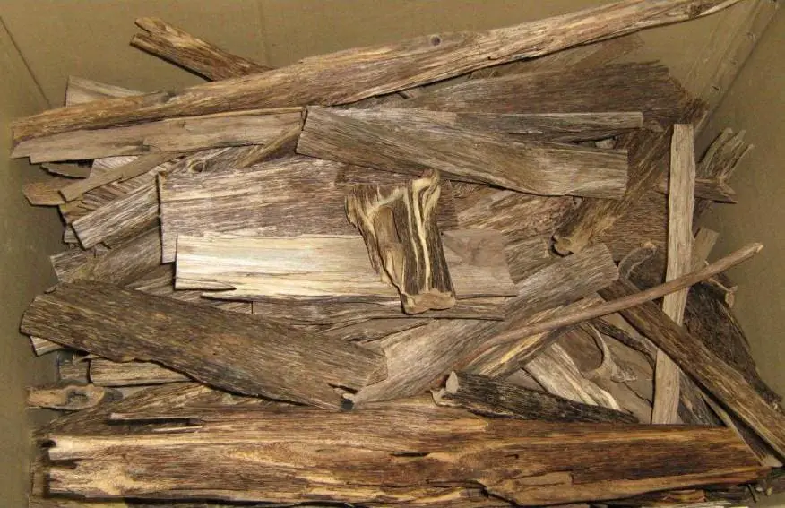 madera de agar
