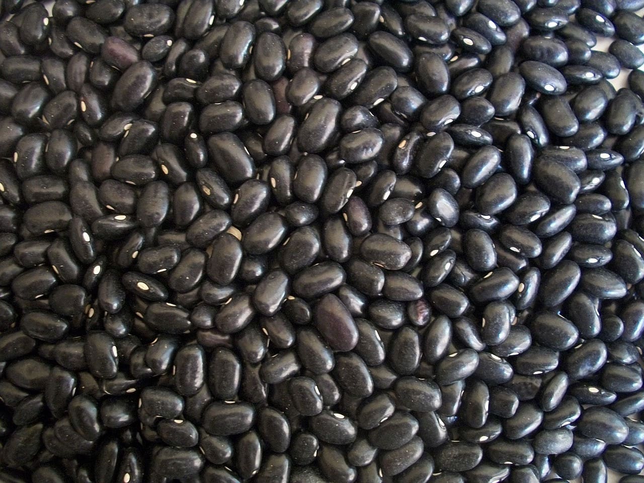 black beans 1