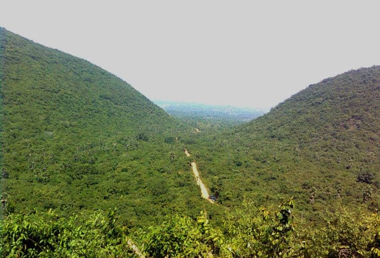 Western Ghats Vs Eastern Ghats: Difference And Comparison