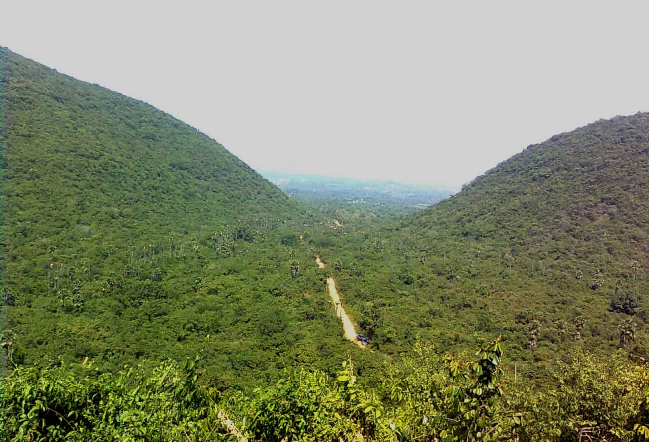 eastern ghats