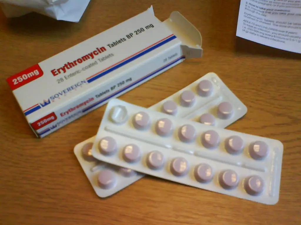 erythromycin