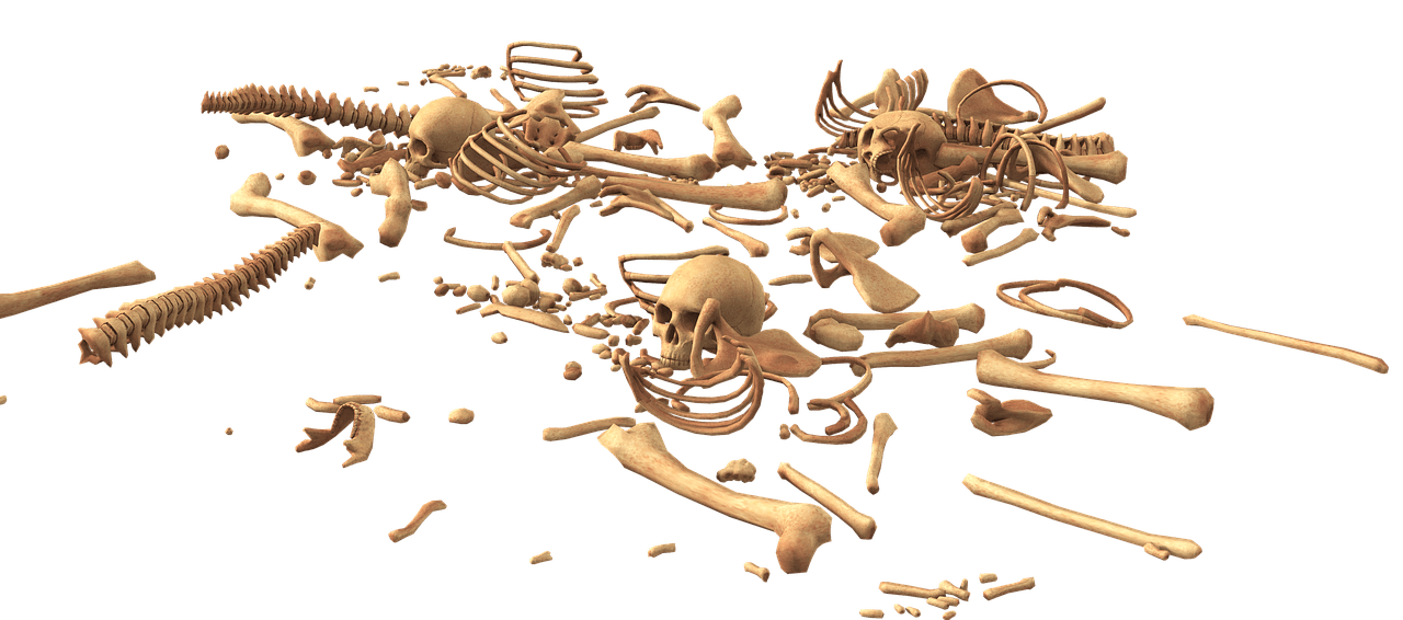 huesos humanos