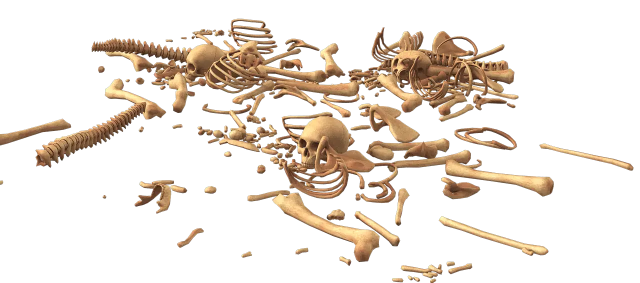cilvēku kauli