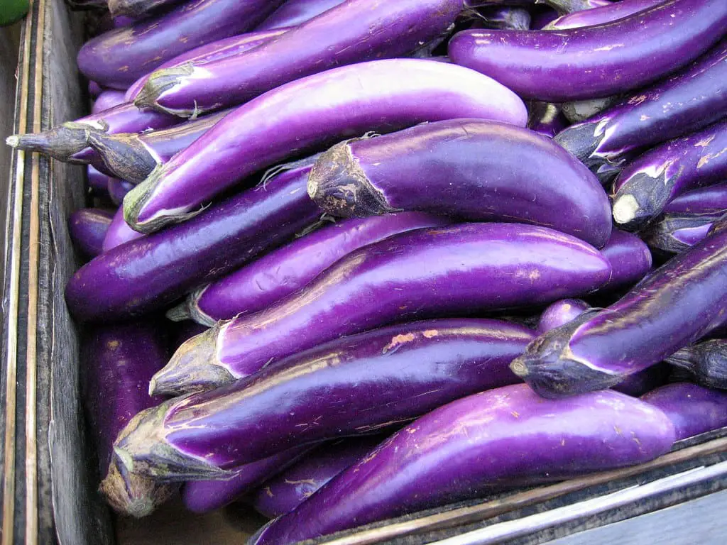 paarse aubergine