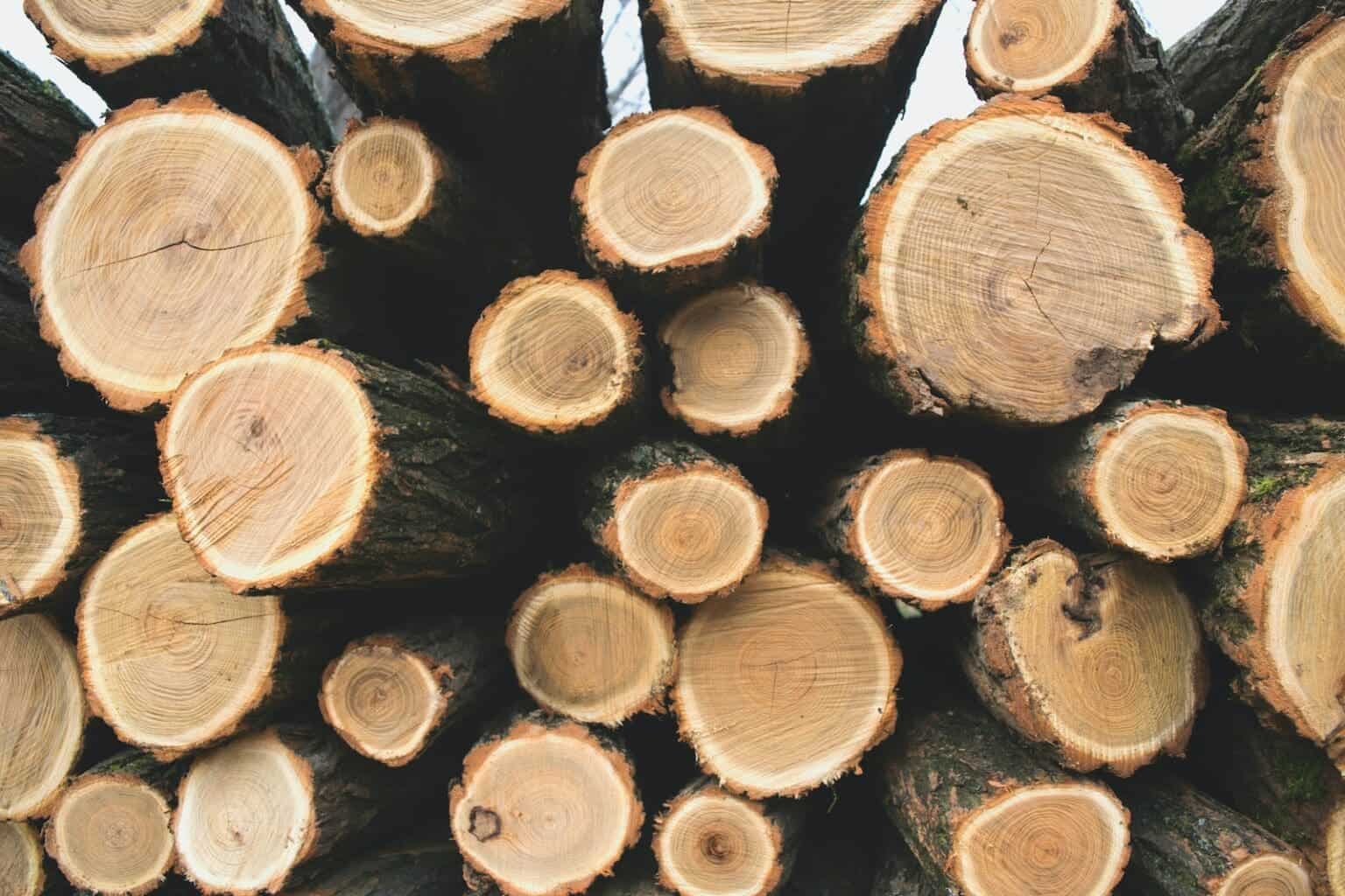 Lumber Vs Timber: Difference And Comparison