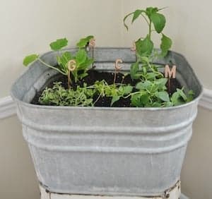 Wash Tub Planter