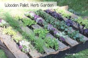 Wooden Pallet Herb Garden