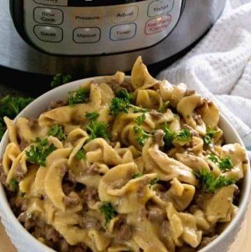 Pressure Cooker Hamburger Stroganoff