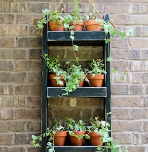 Wood Planter for the Wall 