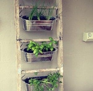 Vertical Ladder Garden