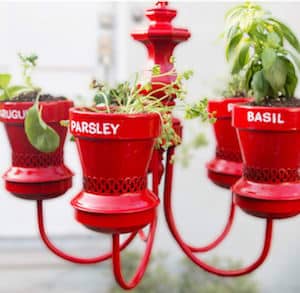 Old Chandelier Potted Herb Garden