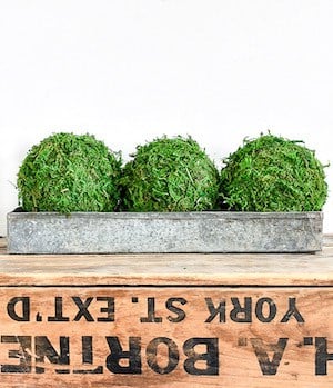 DIY Decorative Moss Balls