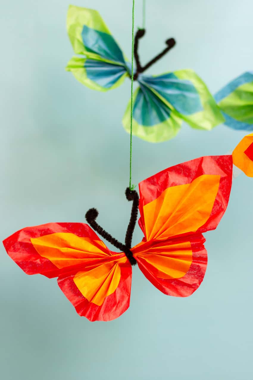 Pipe Cleaner Tissue Butterfly 4