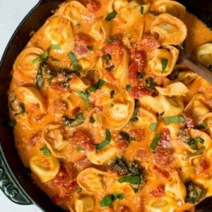 creamy tortellini