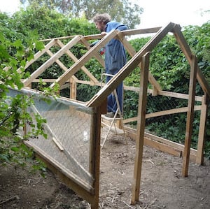 Cheap And Easy Diy Greenhouse Ideas For A Thriving Garden Ask Any Difference