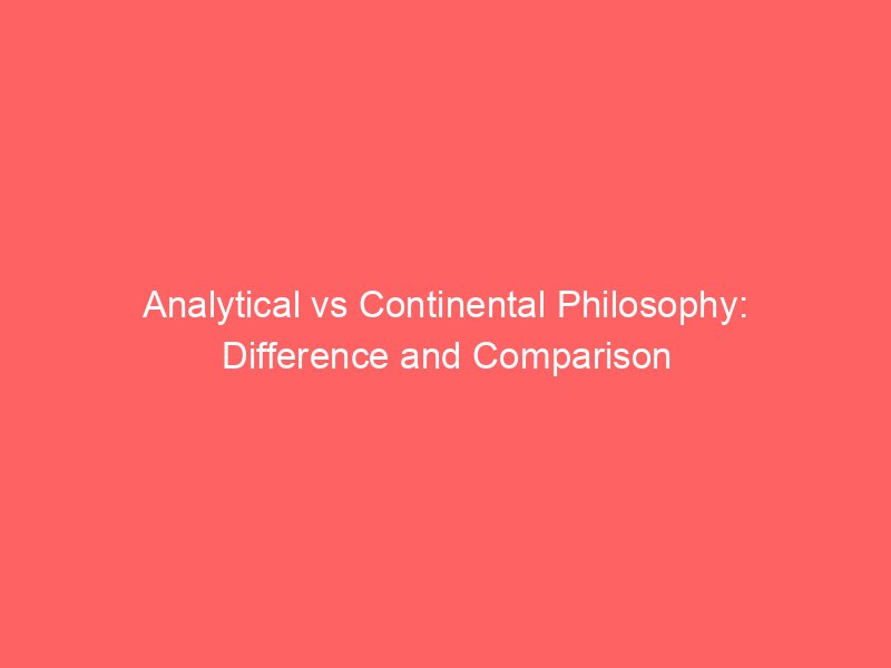 analytical vs continental philosophy difference and comparison 658507