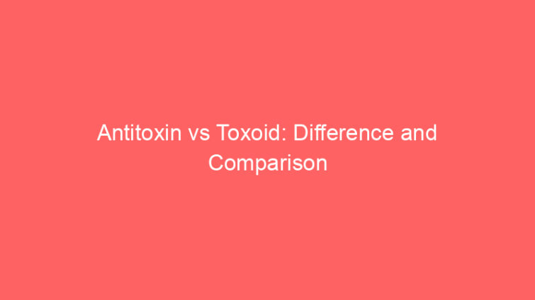 antitoxin vs toxoid difference and comparison 660589