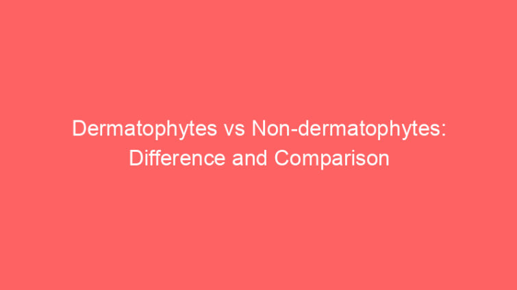 dermatophytes vs non dermatophytes difference and comparison 660603