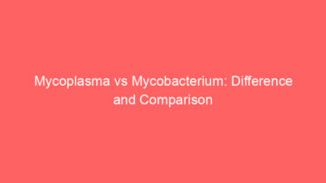 mycoplasma vs mycobacterium difference and comparison 658577