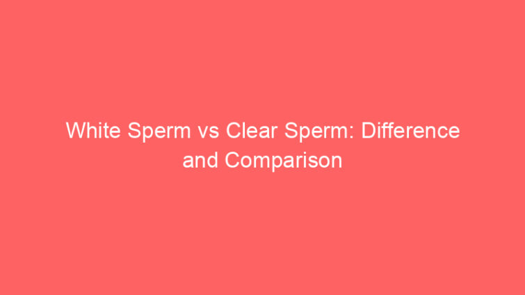 white sperm vs clear sperm difference and comparison 658625